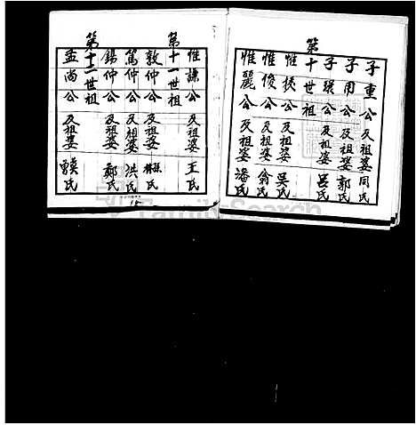 [李] 李氏家谱 (台湾) 李氏族谱.pdf