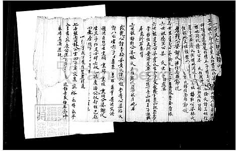 [李] 李氏家谱 (台湾) 李氏族谱.pdf