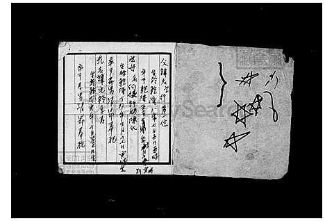 [李] 李氏家谱 (台湾) 李氏族谱.pdf