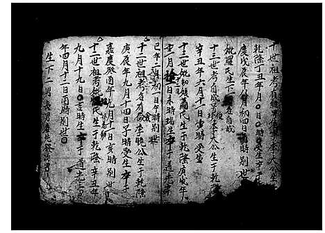 [李] 李氏家谱 (台湾) 李氏族谱.pdf