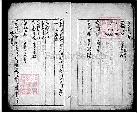 [李] 李氏家谱 (台湾) 李氏族谱.pdf