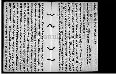 [李] 李氏家谱 (台湾) 李氏族谱.pdf