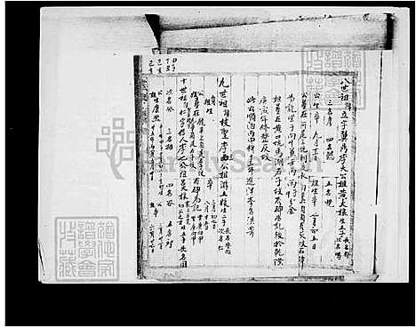 [李] 李氏家谱 (台湾) 李氏族谱.pdf