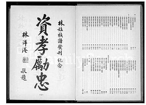 [林] 林姓大宗谱 (台湾) 林姓大族谱_1600-1980.pdf