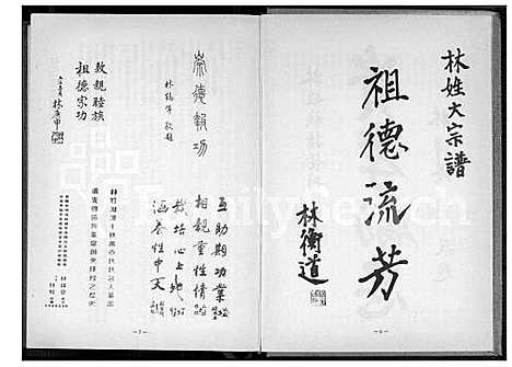 [林] 林姓大宗谱 (台湾) 林姓大族谱_1600-1980.pdf