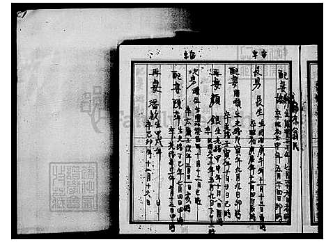 [林] 林氏家谱 (台湾) 林氏族谱.pdf