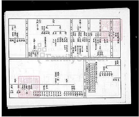 [林] 林氏家谱 (台湾) 饶平-林氏族谱.pdf