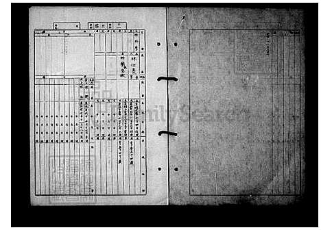 [林] 林氏家谱 (台湾) 林氏族谱.pdf