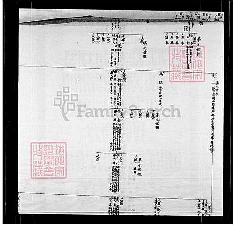 [林] 林氏家谱及世系图 (台湾) 林氏族谱及世系图.pdf