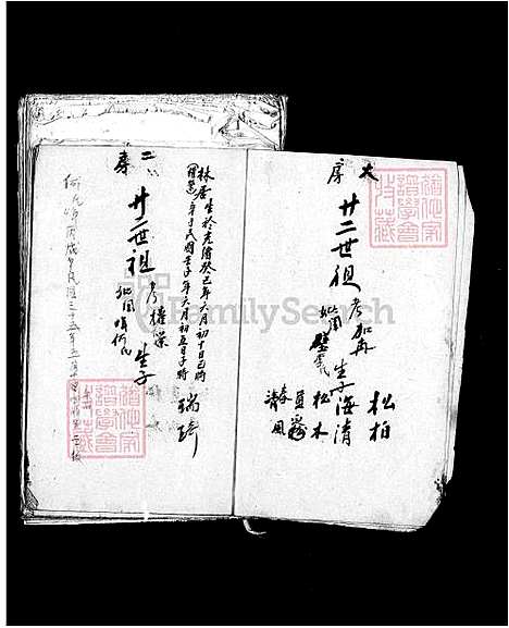 [林] 林氏家谱 (台湾) 林氏族谱.pdf