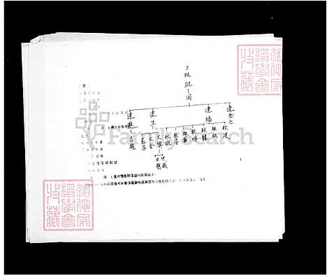 [林] 林氏家谱 (台湾) 林氏族谱.pdf