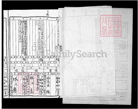 [林] 林氏家谱 (台湾) 林氏族谱.pdf