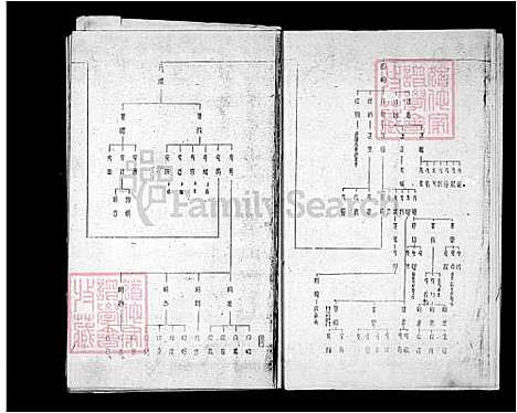 [林] 林氏家谱 (台湾) 林氏族谱.pdf