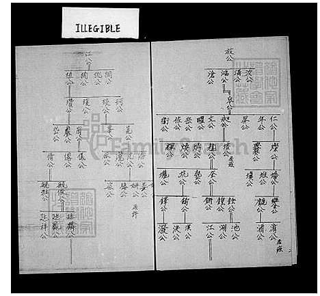 [林] 西河林氏家谱 (台湾) 西河林氏族谱.pdf