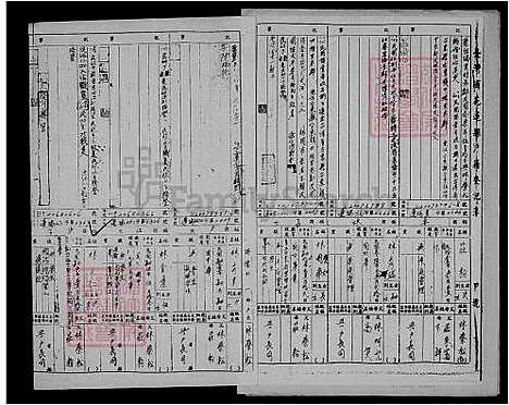 [林] 林氏家谱 (台湾) 林氏族谱.pdf