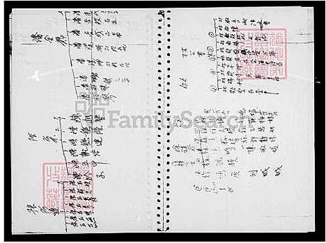 [林] 林氏家谱 (台湾) 林氏族谱.pdf