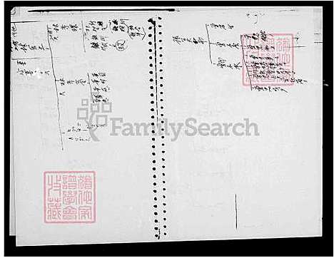 [林] 林氏家谱 (台湾) 林氏族谱.pdf