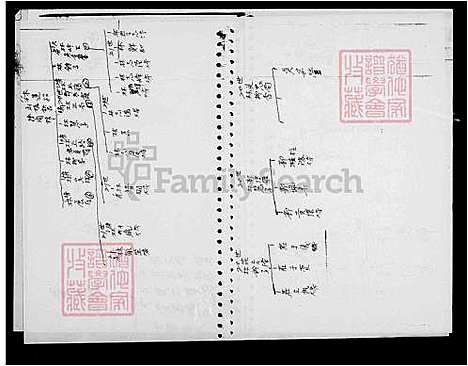 [林] 林氏家谱 (台湾) 林氏族谱.pdf