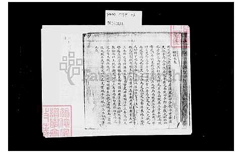 [林] 林氏家谱 (台湾) 林氏族谱.pdf