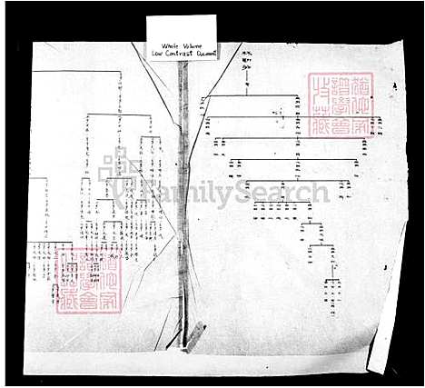 [林] 林氏家谱 (台湾) 林氏族谱.pdf