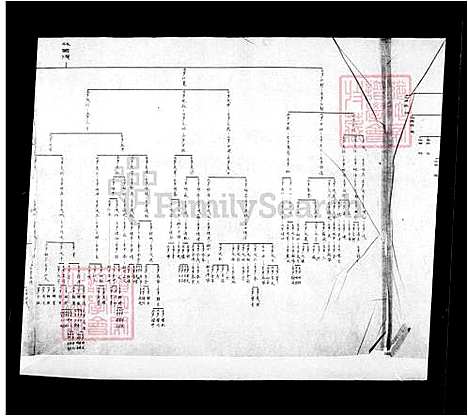 [林] 林氏家谱 (台湾) 林氏族谱.pdf