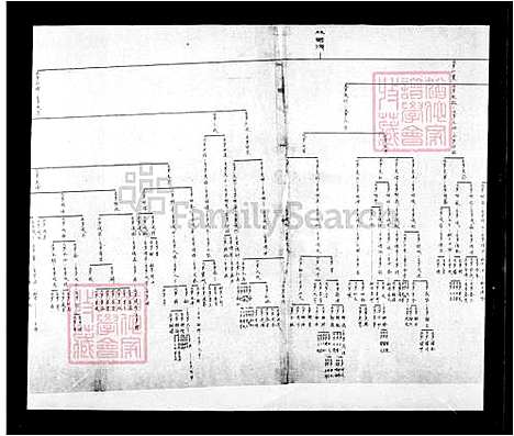 [林] 林氏家谱 (台湾) 林氏族谱.pdf