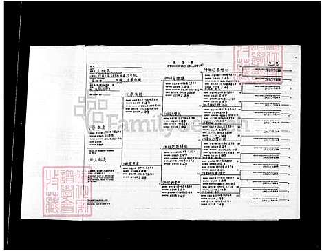 [王] 王氏家谱 (台湾) 王氏族谱王裕民.pdf