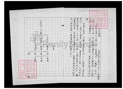 [王] 王氏家谱 (台湾) 王氏祖谱.pdf