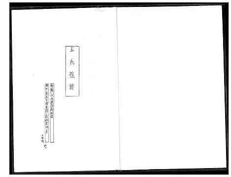 [王] 王氏家谱 (台湾) 王氏祖谱_1600-1966.pdf