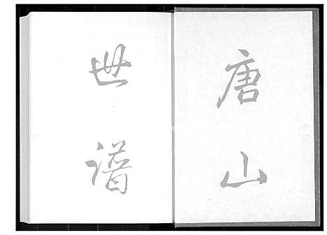 [王] 巖岭迁淡王姓家谱 (台湾) 巖岭迁淡王姓族谱 _1600-1900.pdf