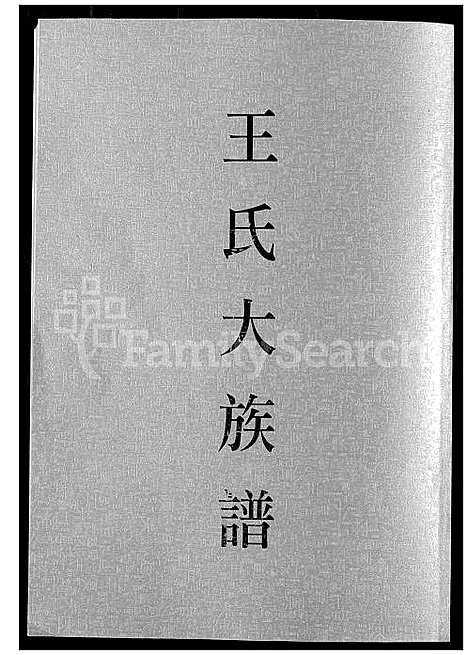 [王] 王氏大家谱 (台湾) 王氏大族谱_1600-1998.pdf