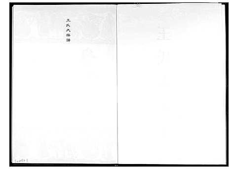 [王] 王氏大家谱 (台湾) 王氏大族谱_1600-1998.pdf