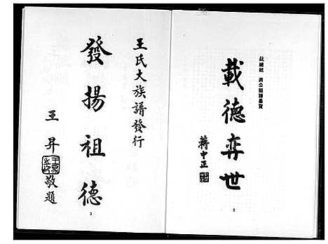 [王] 王氏大家谱 (台湾) 王氏大族谱_1600-1998.pdf