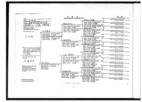 [王] 王氏家谱 (台湾) 王氏族谱_1600-1973.pdf