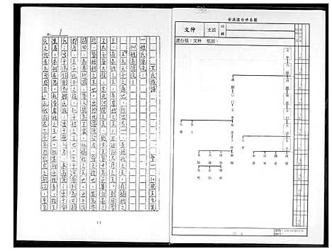 [王] 王氏家谱 (台湾) 王氏族谱_1600-2015.pdf