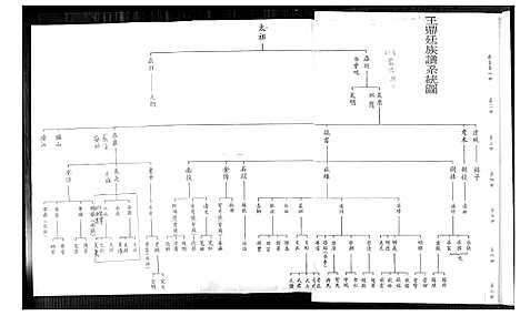 [王] 王鼎廷家谱 (台湾) 王鼎廷族谱_1600-1967.pdf