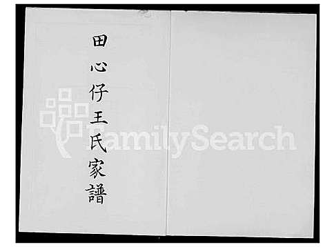 [王] 田心仔王氏家谱 (台湾) 田心仔王氏族谱_1600-1980.pdf