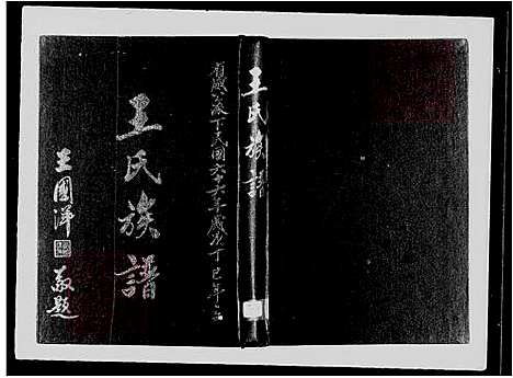 [王] 王氏家谱 (台湾) 王氏族谱.pdf