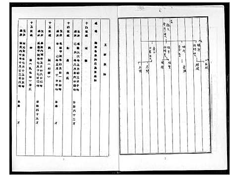 [王] 王氏家谱 (台湾) 王氏族谱_1600-2013.pdf