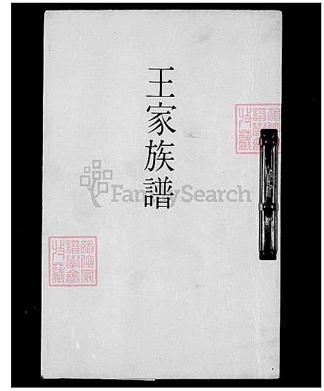 [王] 王家家谱 (台湾) 王家族谱.pdf