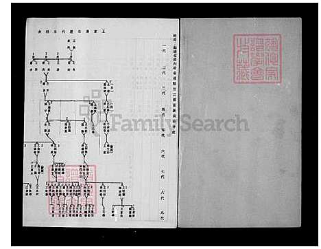 [王] 王家家谱 (台湾) 王家族谱.pdf