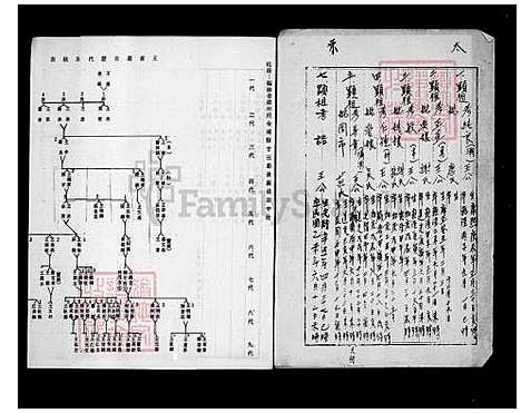 [王] 王家家谱 (台湾) 王家族谱.pdf