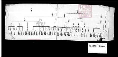 [王] 王氏巡忠公派下家谱 (台湾) 王氏巡忠公派下族谱.pdf