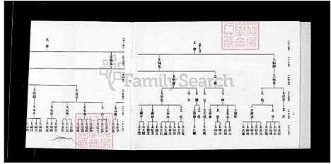 [王] 王氏巡忠公派下家谱 (台湾) 重复拍摄 1984 微捲1捲-35厘米.pdf