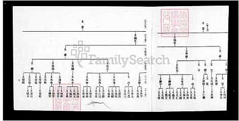 [王] 王氏巡忠公派下家谱 (台湾) 重复拍摄 1984 微捲1捲-35厘米.pdf