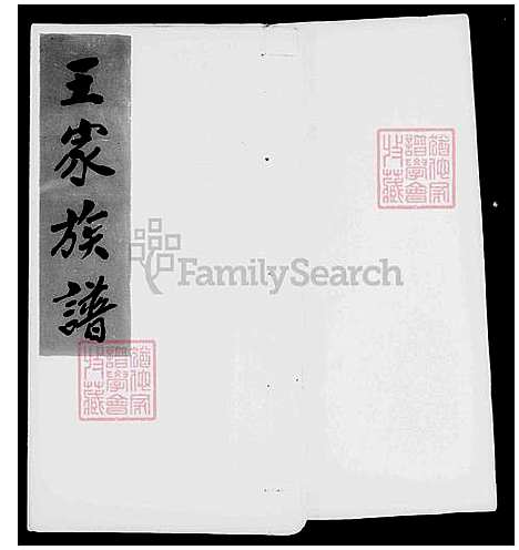 [王] 王家家谱 (台湾) 银同王家族谱.pdf