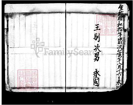 [王] 王氏家谱 (台湾) 王氏族谱.pdf