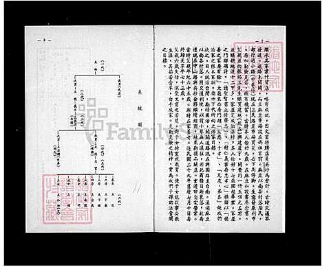 [王] 王家的家谱 (台湾) 王家的族谱.pdf