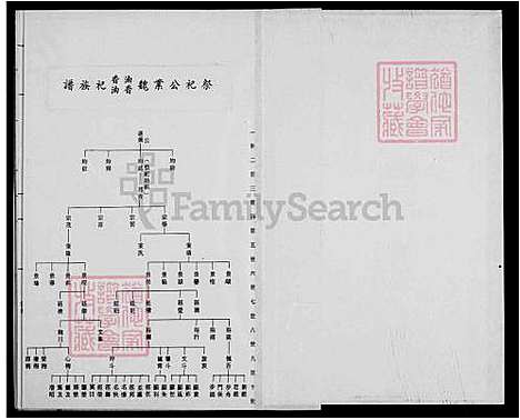 [魏] 魏氏家谱 (台湾) 魏氏族谱.pdf