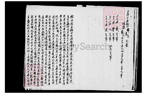 [魏] 魏氏家谱 (台湾) 魏氏族谱.pdf